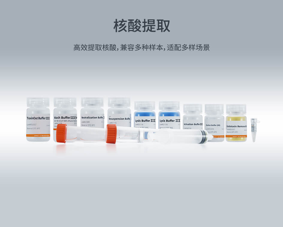 核酸提取