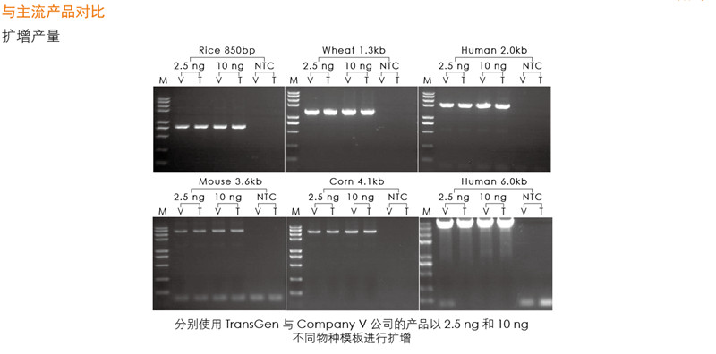 新产品2×TransStart GoldPfu PCR SuperMix上市