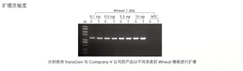 新产品2×TransStart GoldPfu PCR SuperMix上市