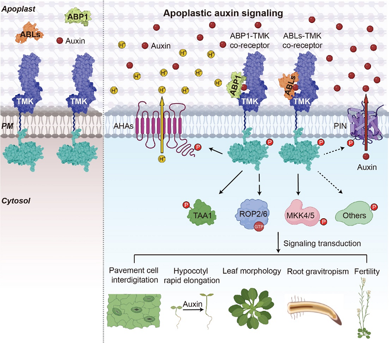 图2-调整后.png 图2-调整后.png