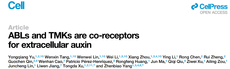 图1-调整后.png 图1-调整后.png