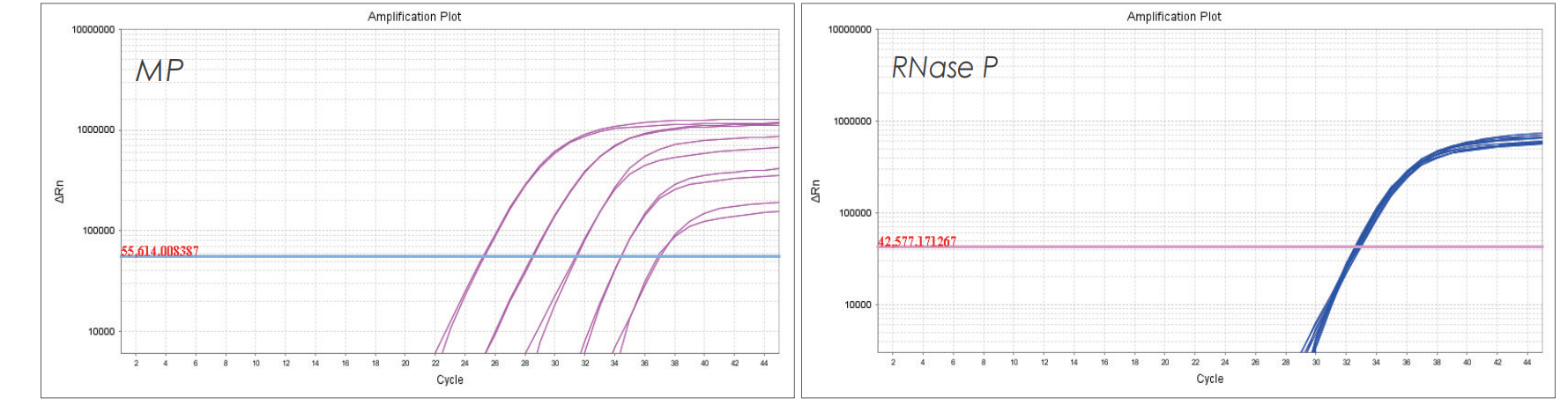 实验数据 实验数据