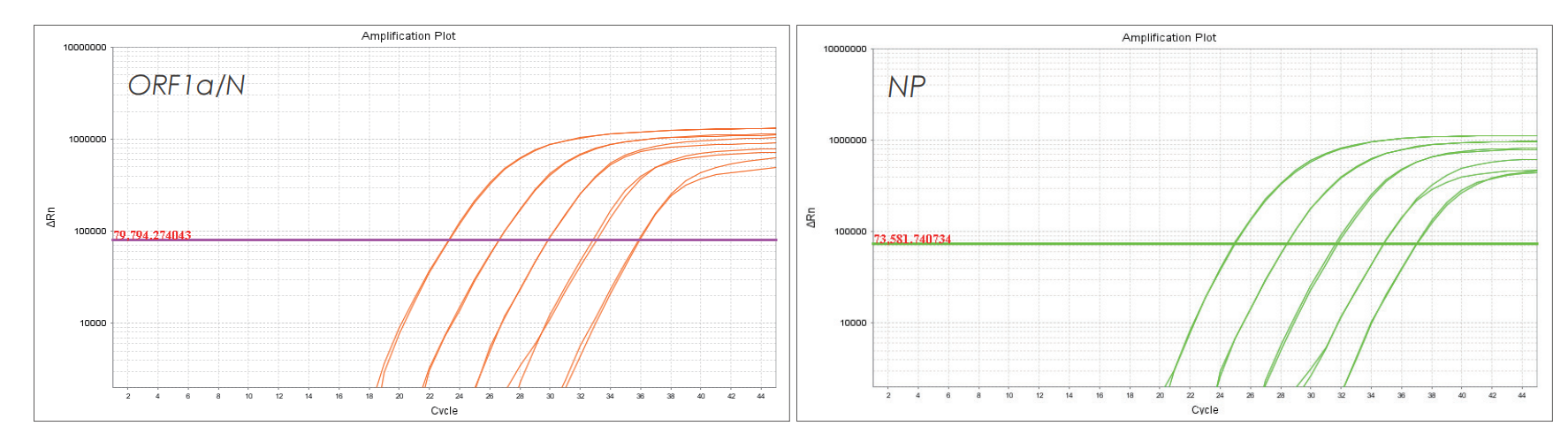 实验数据 实验数据