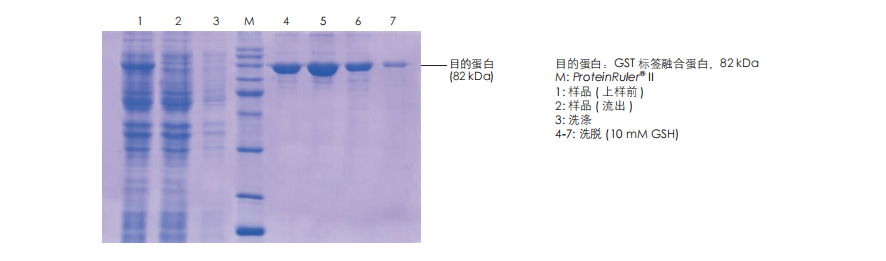 微信图片_20250904093744_171_30.png 微信图片_20250904093744_171_30.png