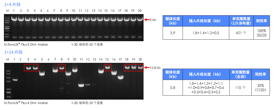 组装效率高 组装效率高