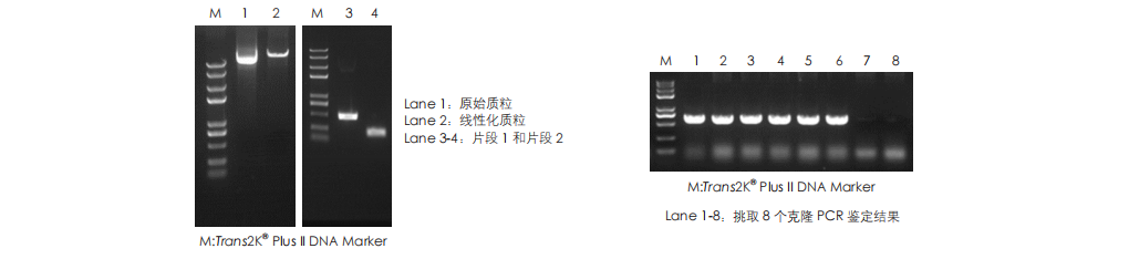 客户反馈数据 客户反馈数据