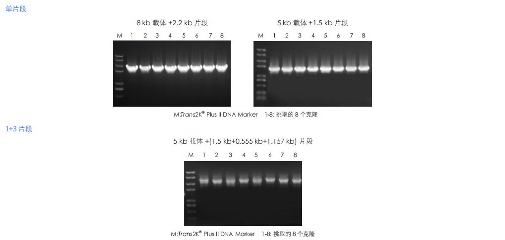 组装效率高 组装效率高