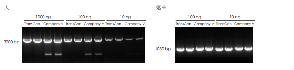 PCR 检测 PCR 检测