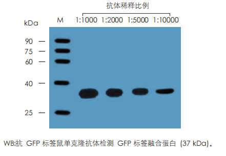数据展示 数据展示