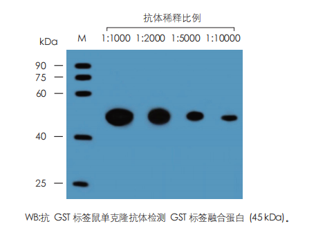 数据展示 数据展示