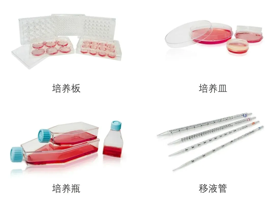 细胞培养相关耗材.jpg 细胞培养相关耗材.jpg