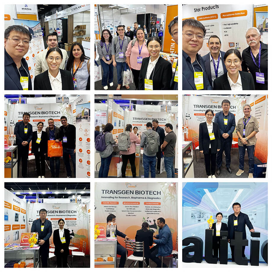 展会现场 展会现场