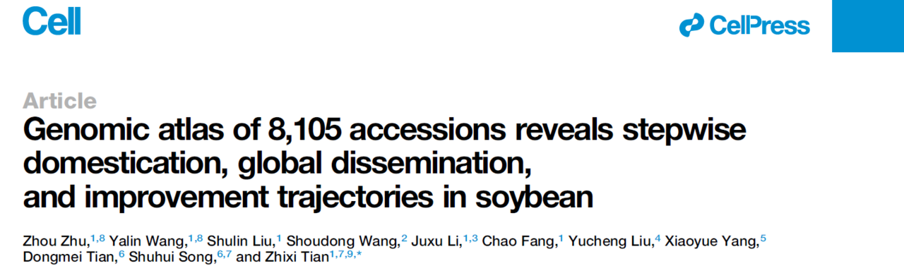 Genomic atlas of 8,105 accessions reveals stepwise domestication, global dissemination, and improvement trajectories in soybean