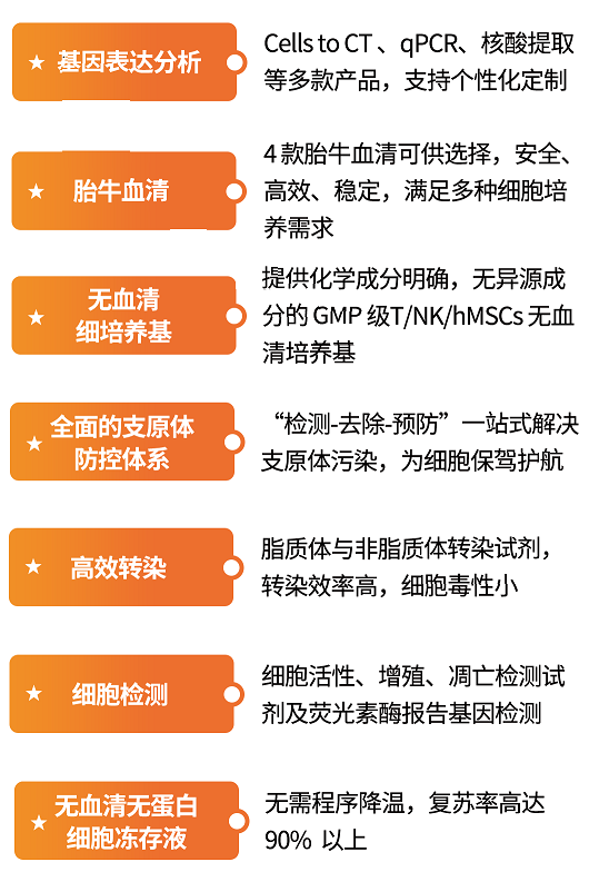 细胞水平药物筛选解决方案