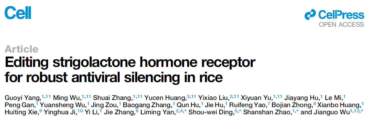 Editing Strigolactone Hormone Receptor for Robust Antiviral Silencing in Rice