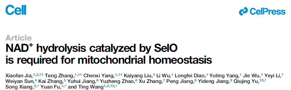 NAD+&nbsp;Hydrolysis Catalyzed by SelO is Required for Mitochondrial Homeostasis