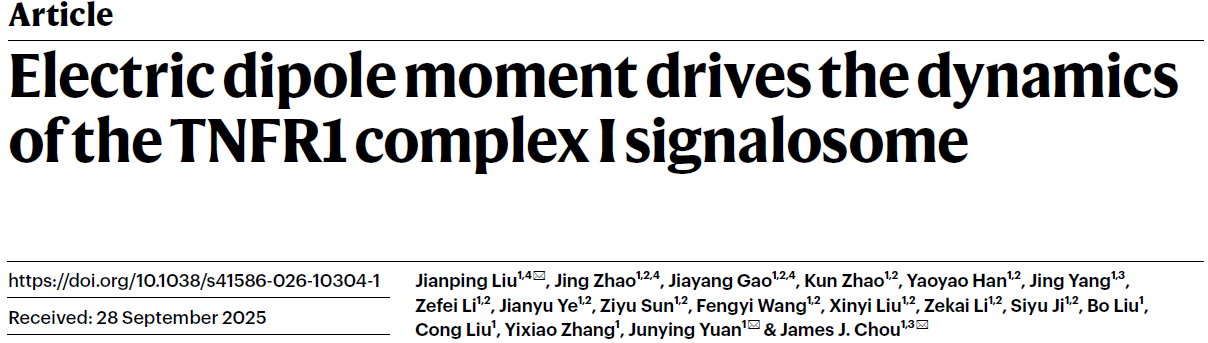 Electric dipole moment drives the dynamics of TNFR1 Complex I signalosome