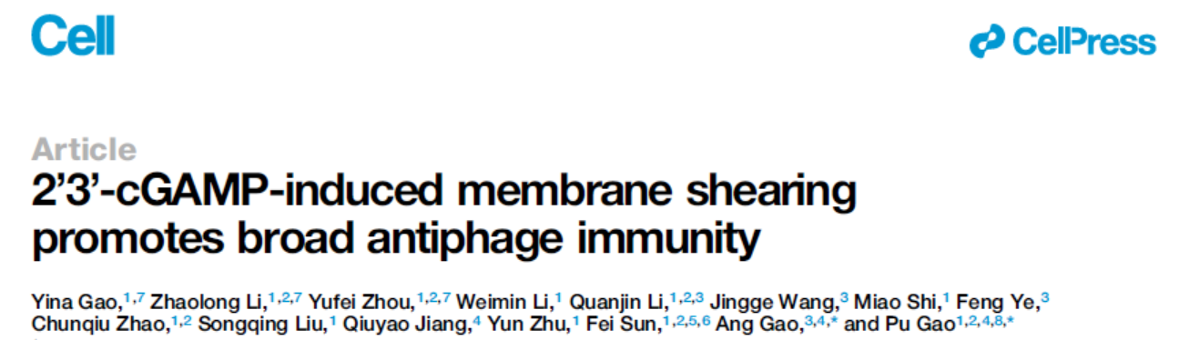 2'3'-cGAMP-induced membrane shearing promotes broad antiphage immunity