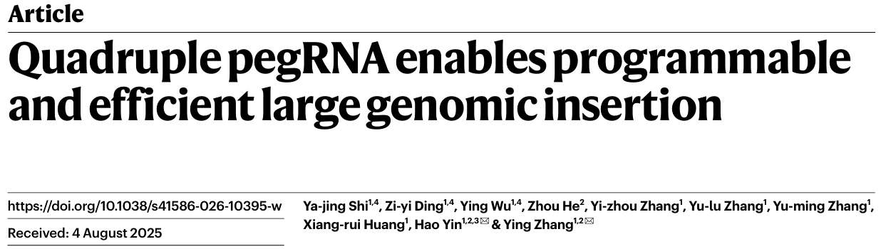 Quadruple pegRNA enables programmableand efficient large genomic insertion