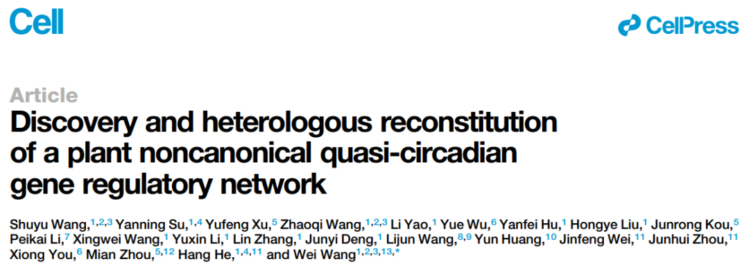 Discovery and heterologous reconstitution of a plant noncanonical quasi-circadian gene regulatory network Discovery and heterologous reconstitution of a plant noncanonical quasi-circadian gene regulatory network