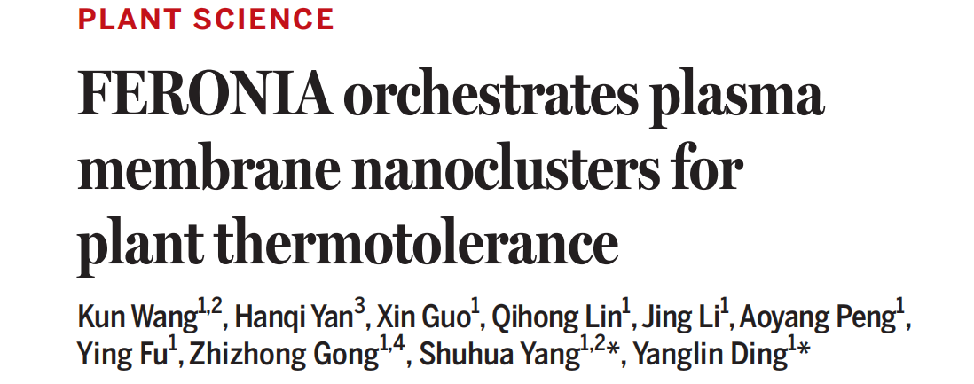 FERONIA orchestrates plasma membrane nanoclusters for plant thermotolerance
