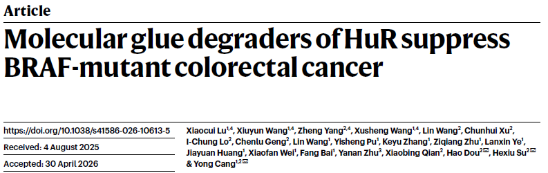 Molecular Glue Degraders of HuR Suppress BRAF-Mutant Colorectal Cancer Molecular Glue Degraders of HuR Suppress BRAF-Mutant Colorectal Cancer