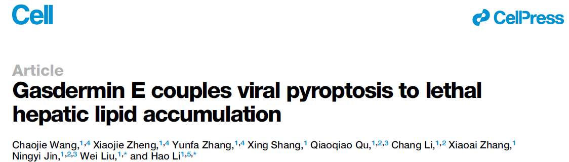 Gasdermin E couples viral pyroptosis to lethal hepatic lipid accumulation Gasdermin E couples viral pyroptosis to lethal hepatic lipid accumulation