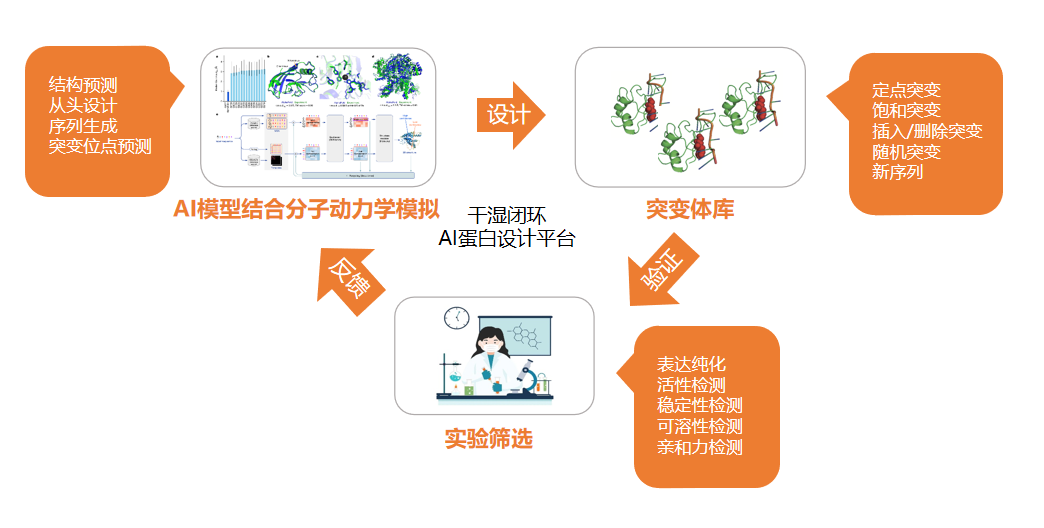 蛋白质定向改造与进化平台 蛋白质定向改造与进化平台