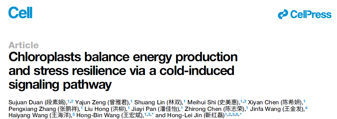 图片1.png.png 图片1.png.png